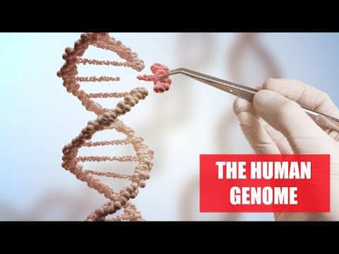 Rewriting The Human Genome