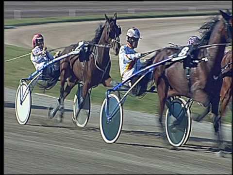 Trotto 30/10/2016 - 1ª corsa