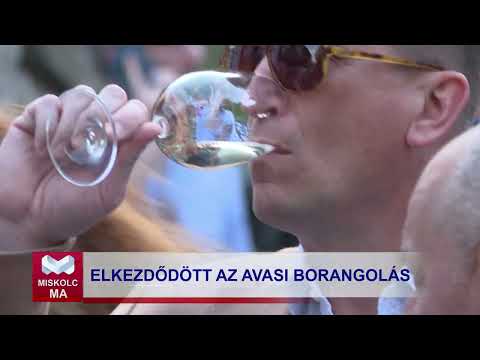 Videó előnézet