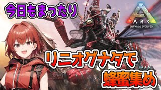 【ARK】のんびりちょっとだけARK。リニオグナタ使って蜂蜜集めてみたい。#33【Ark: Survival Evolved】