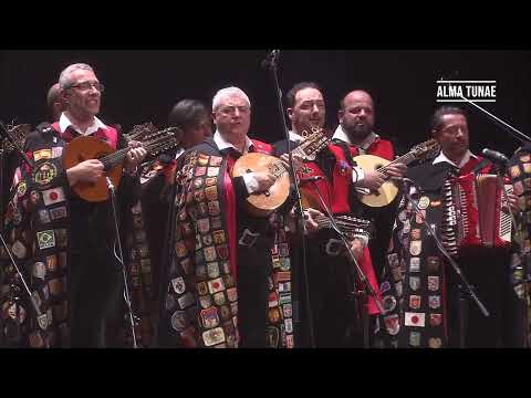 Actuación en escenario
