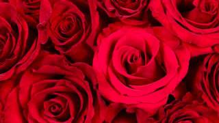 Cuenta conmigo fran perea