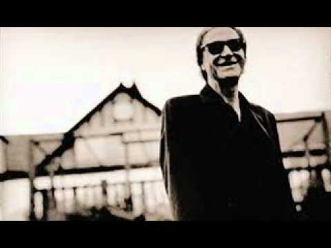 Next Door Neighbour - Ray Davies