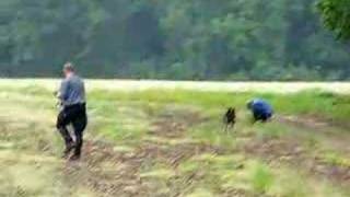 4/5 - Search & Rescue dog training - bark indication