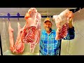 Kune Kune Vs Mangalitsa BACON