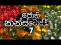 Jothi Nonstop D 7 HR Jothipala Non Stop Sha Fm Sindu Kamare