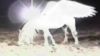CÓMO QUIERES Lyrics English Translation