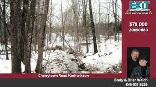 preview picture of video '291 Cherrytown Rd Kerhonkson NY'