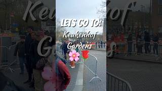 Keukenhof Gardens Tips 🌷 What They DON’T Tell You About Getting There!