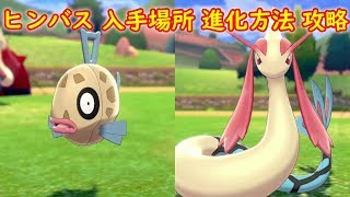 ミロカロス ポケットモンスター イワパレス シビルドン レディバ