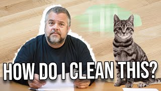 How Do I Remove Old Cat Urine?