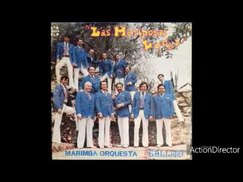 Idolences (San José El Ídolo) - Marimba Orquesta Gallito “La Soberana” Álbum: Las Mariposas Locas