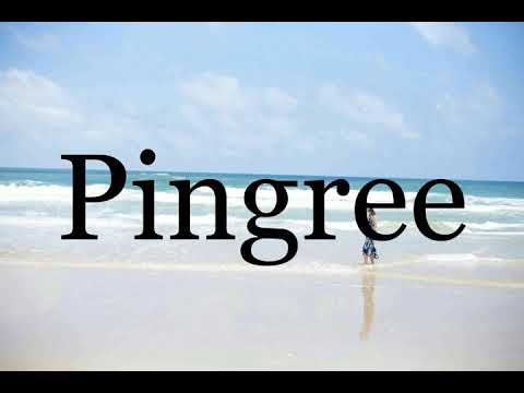 How To Pronounce Pingree🌈🌈🌈🌈🌈🌈Pronunciation Of Pingree