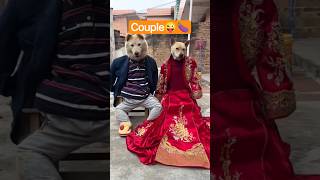 Download lagu wait for end twist 😄😂😜#funnyDog #angry mp3