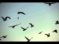 Tenhi - Oikea Sointi 