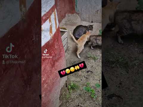 الزمن الجميل #اكسبلور #ذكريات