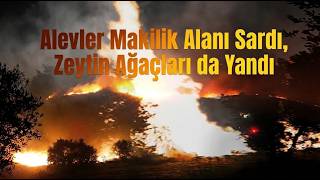 Manisa'da Geceyi Aydınlatan Alevler 400 Dönümü Küle Çevirdi