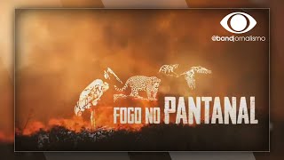 Miniatura do vídeo