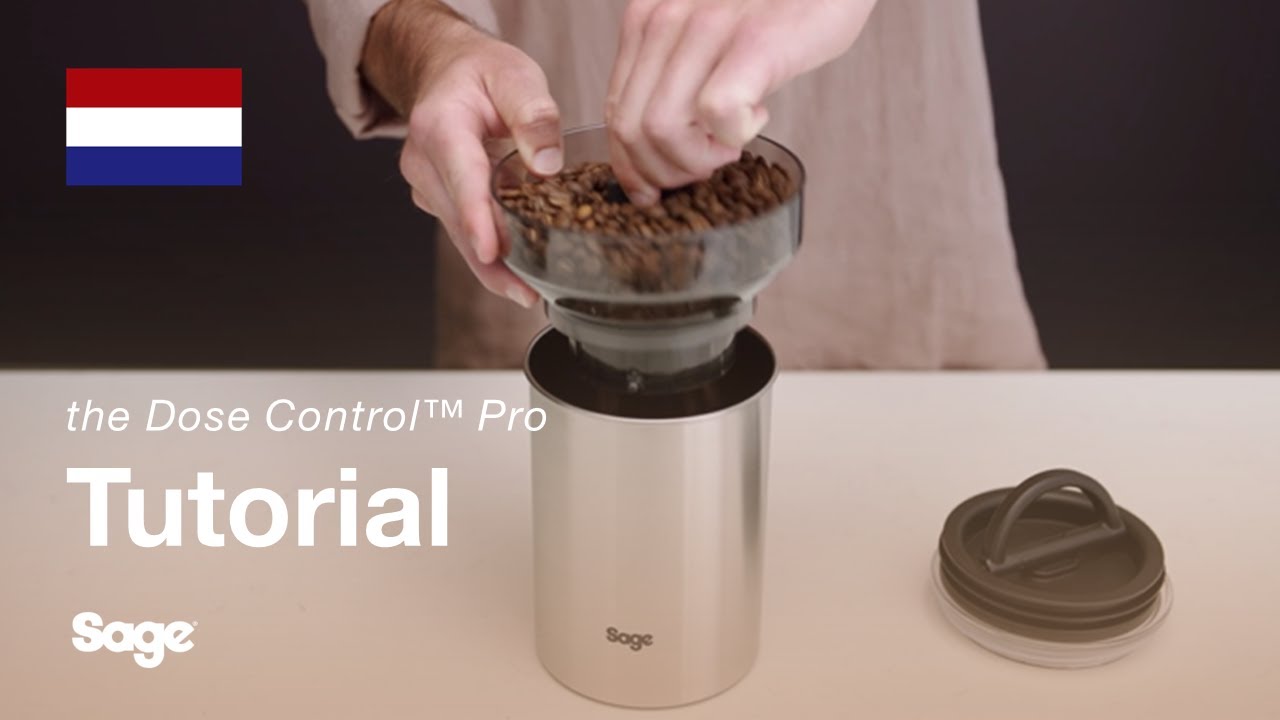 Hoe bonen te bewaren