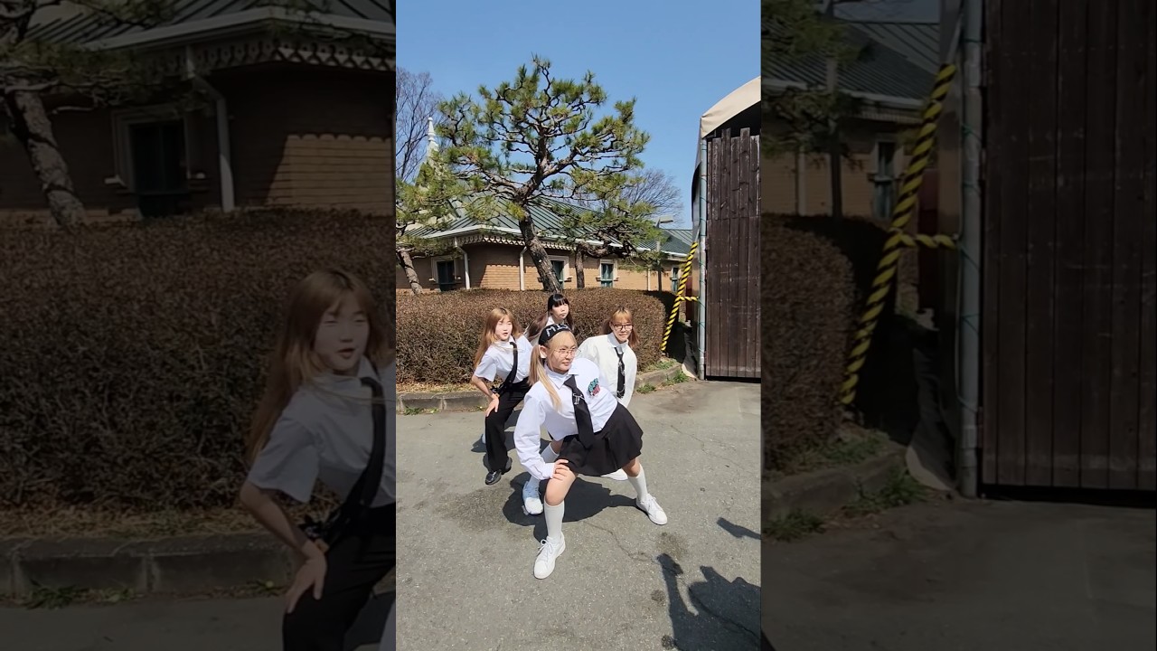 하비비 Habibi Trend #춤추는곰돌 #afstarz #춤추는곰돌의랜덤댄스 #댄스 #춤추는가을 #dance #kpop #music #하비비 #habibi #fyp #에버랜드