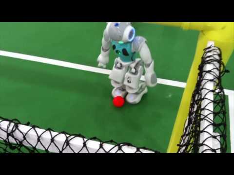 RoboCupQual2017