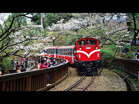 阿里山林業鐵路即時影像