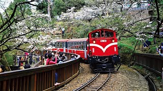 阿里山国家森林遊楽区林業鉄路