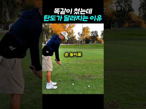 손 높이로 바뀐다는데요?