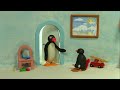 Pingu S06e06 Poor Pinga Dvdrip Xvid