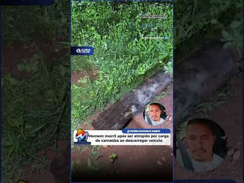 Urgente: homem perde a vida após ser atingido por carga de carnaubeiras em Graça #ceará. #youtube