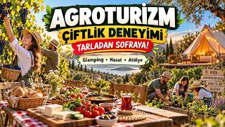 Agroturizm Nedir? Çiftlikten Gelir Elde Etmenin Yeni Yolları | Girişimcilik Yolu