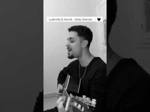 Gato Siamês (part. Xamã) - Ludmilla