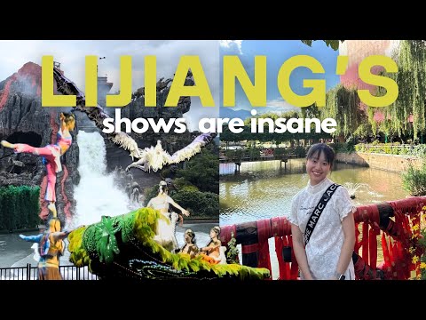 One of the BEST SHOWS I've ever watched! | Med Student in China 🇨🇳