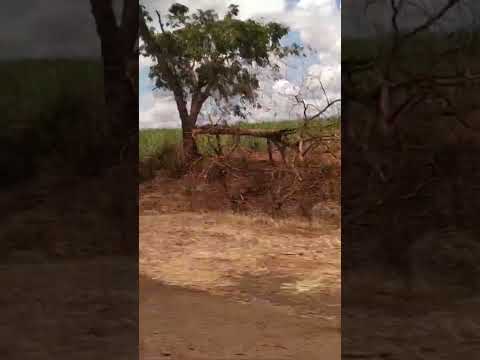 De Igarapava SP a Ipuã SP. Brasil, poeira e pista simples. Dezembro 24
