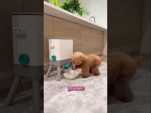 Öğretmenin son gününde kalpten gelen en güzel hediyeler