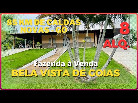 8 ALQ EM BELA VISTA - FAZENDA A VENDA EM GOIAS [🌱DUPLA APTIDÃO🐄] Zap 6299972-2000 #agro #fazenda