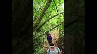 Hike fun in rainny day by Senderos Juan Viñas.