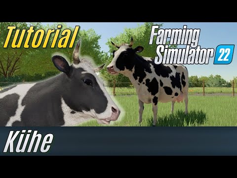 LS22 Tutorial: Kühe (für Einsteiger)