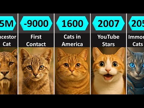 How HOUSE CATS Evolved (10M BCE – 2100)