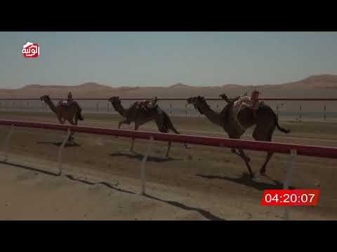 ش 1 (جبارة) لـ عمران حمد محمد العامري 13:24:87 , شارة الديوان 2026/2/22 حول زمول الوقن