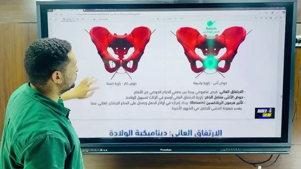 شرح الهيكل الطرفي احياء تالته ثانوي 2027