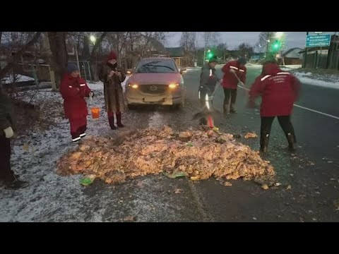 Куры выпали в осадок на асфальт