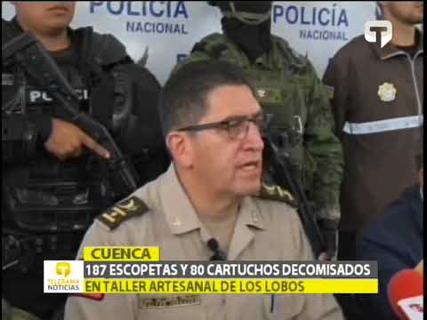 187 escopetas y 80 cartuchos decomisados en taller artesanal de Los Lobos