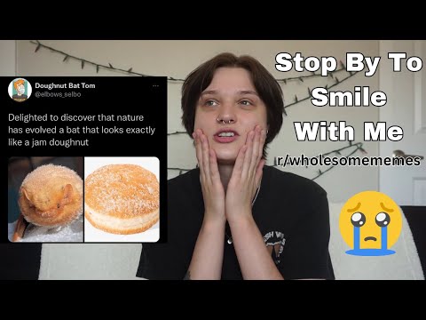 Some Wholesome Memes To Supply Some Dopamine