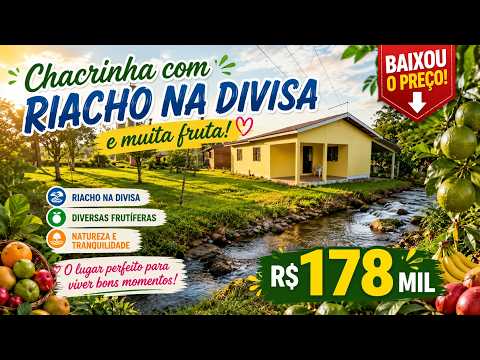 Vídeo