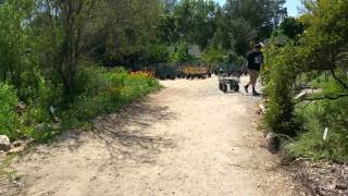 Excellent Plants to Use in a Drought Tolerant Garden