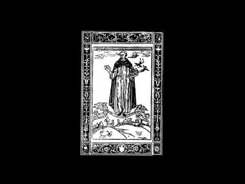 Immatura Morte / Sanguine Relic (Mexico/US) - S/T (Full Split 2019)