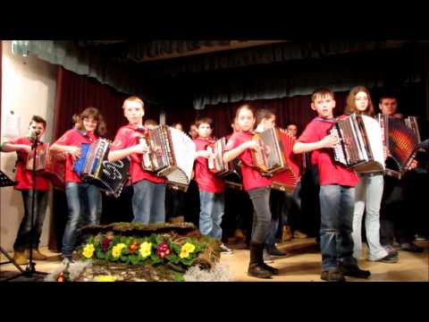 KRKA SANJAVA-orkester harmonikarjev CiS