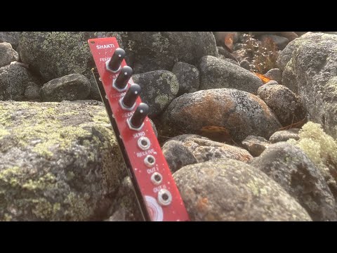 Djupviks Elektronik Shakti [DE built] image 2