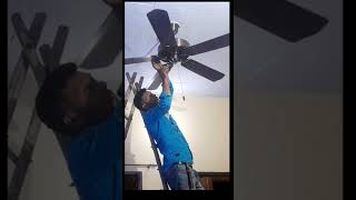 Orient Fan 5 blades 💥 4 Light #shorts#michaeltechnical #5blade